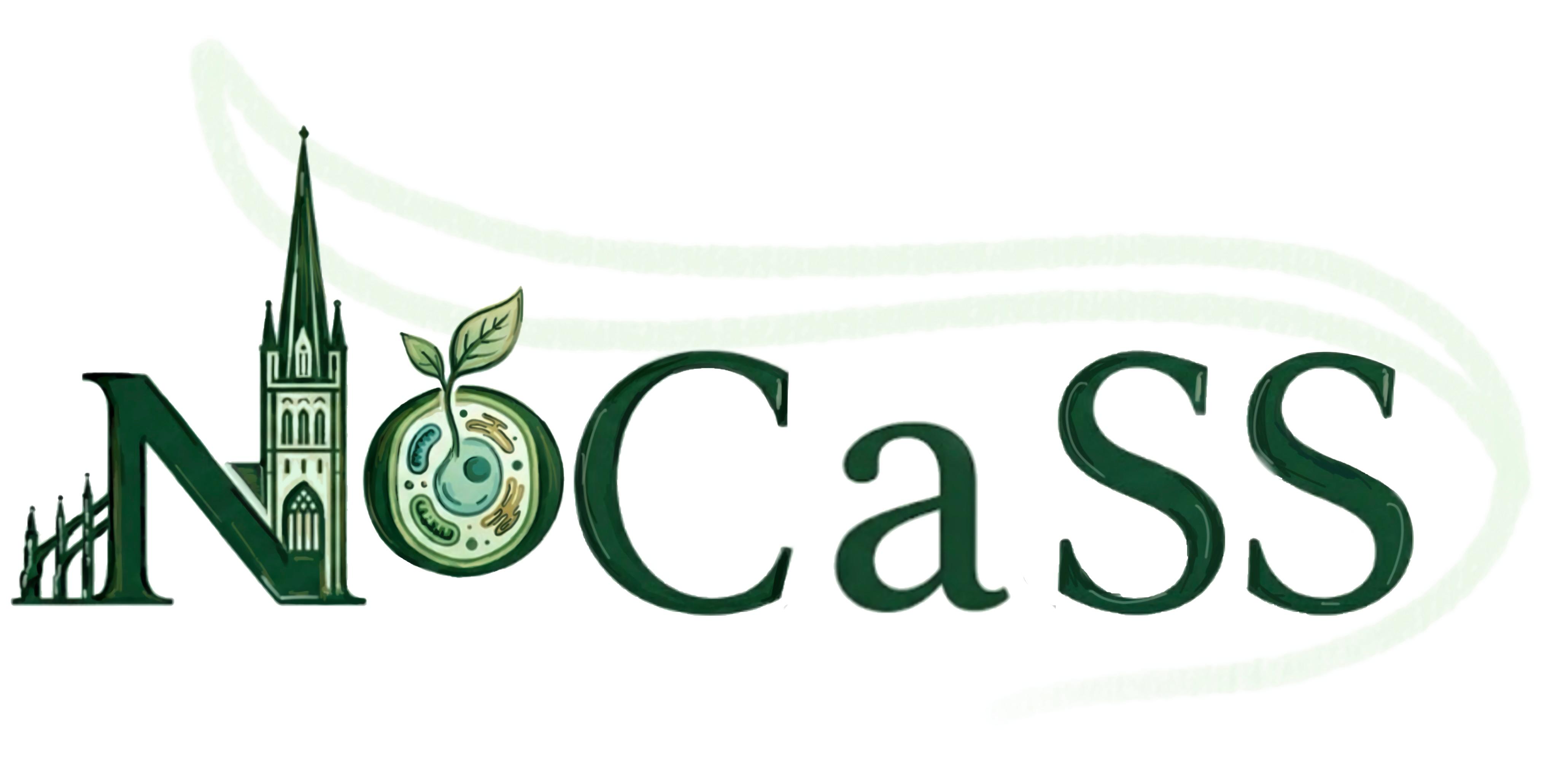 NoCaSS 2026 logo